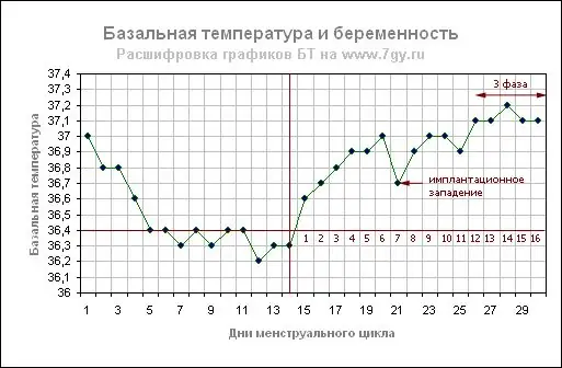 базальная=