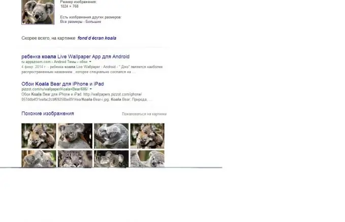 Search result in Google by photo