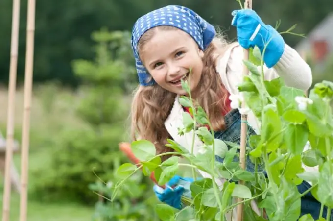 How to teach a child to work