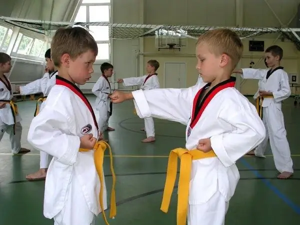 Welche Kampfkunst kann man für einen kleinen Jungen machen?