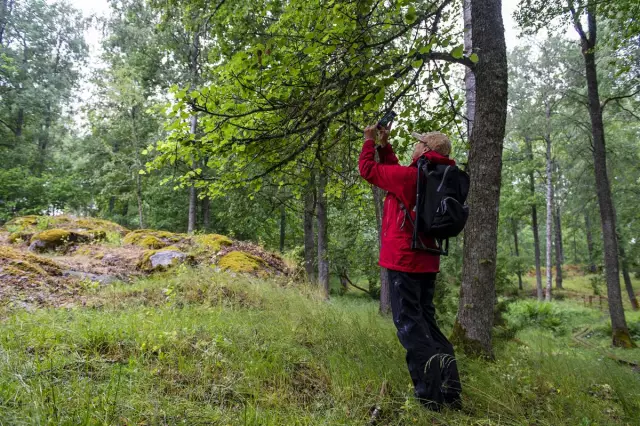 Kuinka Ruokkia Ripulia Sairastavaa Lasta